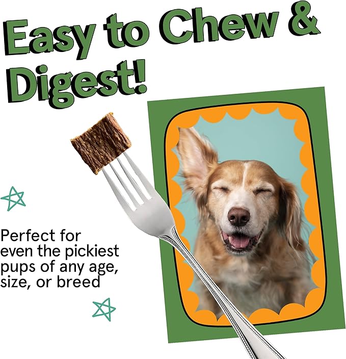 Real Meat Air Dried Dog Food w/ Real Beef - 10lb Bag of USA-Crafted Grain-Free, High Protein Dog Food