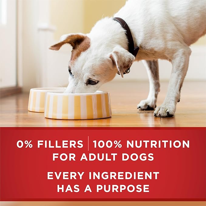 Purina ONE Tender Cuts Skin & Coat Chicken & Brown Rice Wet Dog Food - (Pack of 12) 13 oz. Cans
