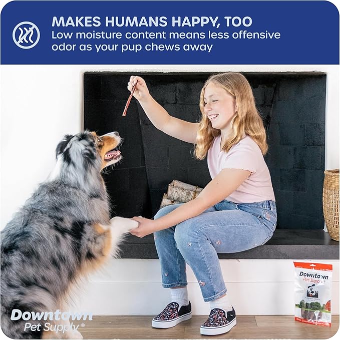 Downtown Pet Supply Bully Sticks - 12" JUNIOR - 12 Pack -SOUTH AMERICA & TURKEY