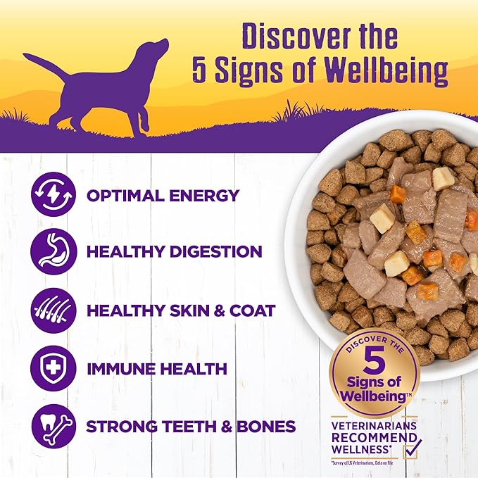 Wellness Complete Health Canned Wet Dog Food, Venison & Salmon Stew, 12.5-Ounce Can (Pack of 12)
