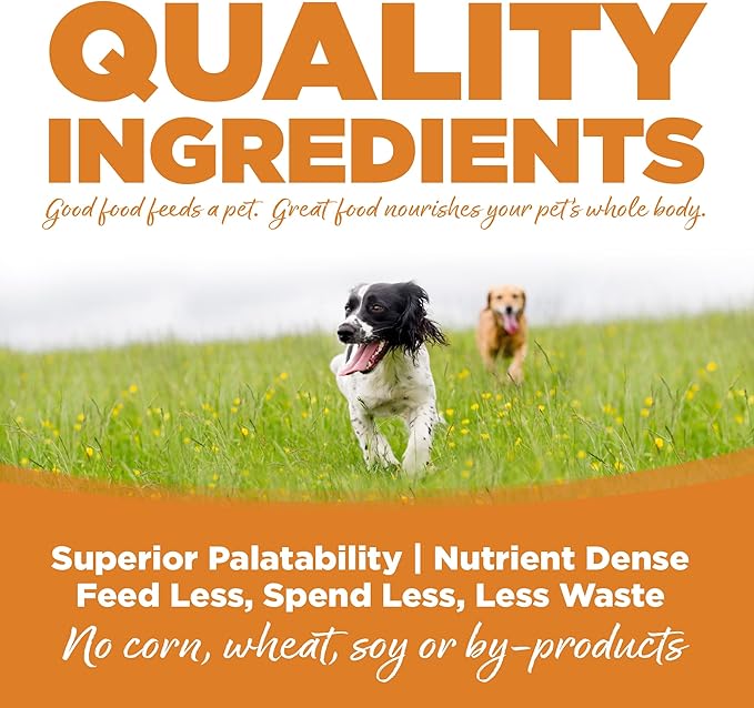 NutriSource Adult Dry Dog Food, Lamb Meal and Rice, 12LB