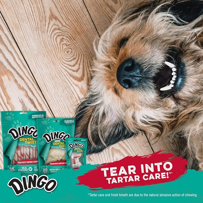 Dingo Bauducco Choco Biscuit Cookies, 2.8 oz - Crispy Chocolate-Filled Cookies - Perfect Sweet Snack or Dessert - Enjoy Them with Coffee, Tea, or Your Favorite hot Drink. (Pack of 3)