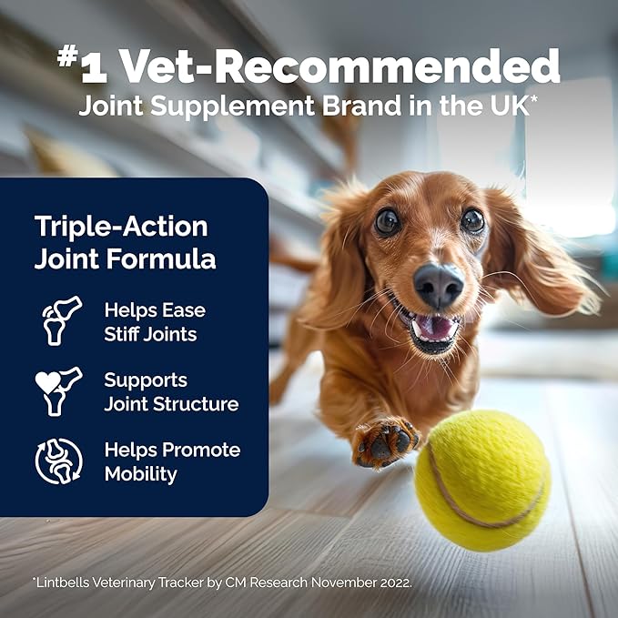 YuMOVE Dog Hip & Joint Supplement, Regular or Advanced Strength - ActivEase Green Lipped Mussel, Glucosamine, Hyaluronic Acid & Omega 3 - Chewable Tablets (300ct Chewable Tablets, Regular Strength)