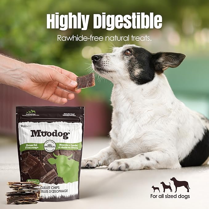 Palz&Co Moodog Beef Gullet Chips - 100% Grass-Fed, High-Protein Dog Treats, Supports Dental Health, Grain-Free & Easily Digestible, 5 oz Bag