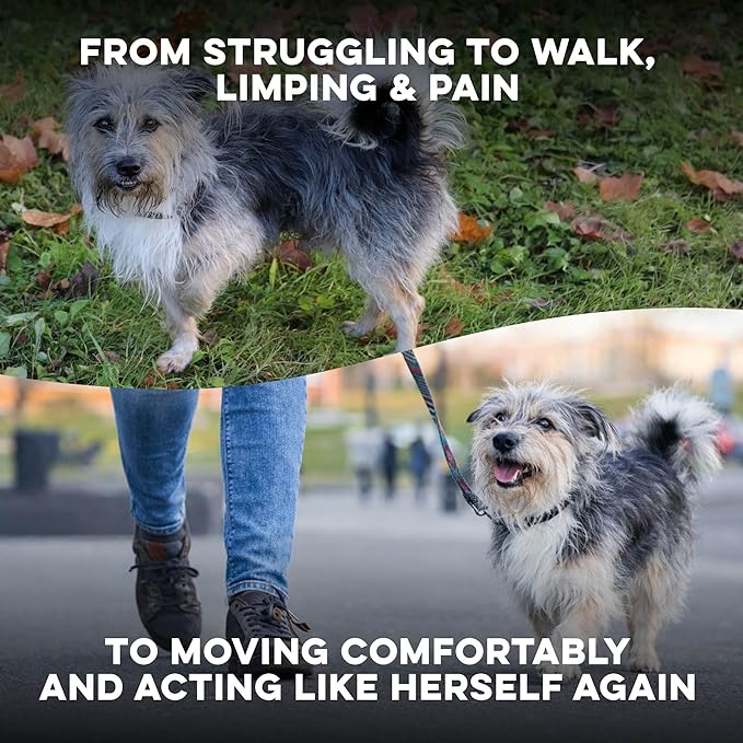Walk-Easy Cat & Dog Pain Relief & Mobility Aid – Natural Hip & Joint Support for Injured or Senior Pets – Gentle Pain Reliever for Limping and ACL Tears – 400 Tiny Pills
