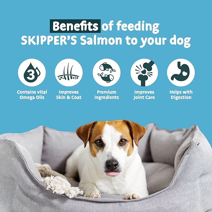SKIPPER'S Salmon Skin Dog Treats - Gently Air Dried 100% Salmon Skin Treat Good for Cleaning Teeth, Essential Omega 3 Oils, Hypoallergenic (Salmon Supreme Cubes, 250 Grams)