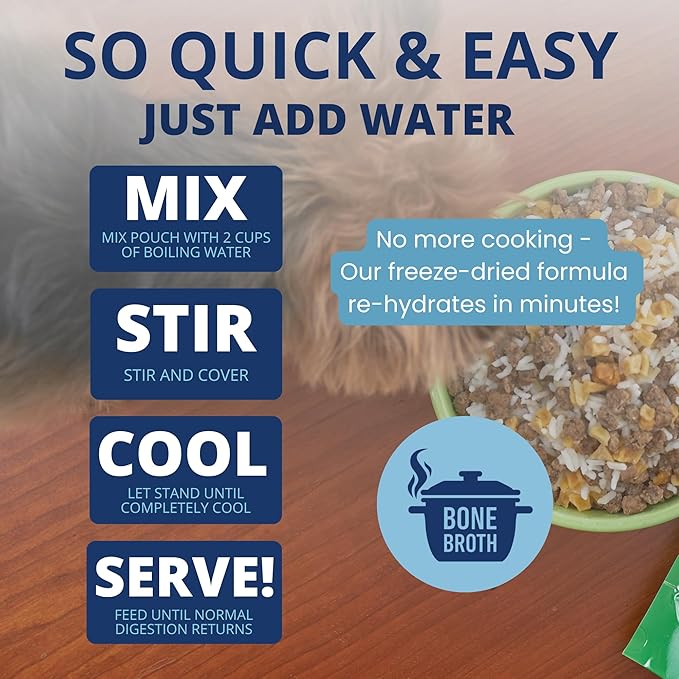 Under the Weather Easy to Digest Bland Diet for Sick Dogs - Always Be Ready - Contains Electrolytes - Gluten Free, All Natural, Freeze Dried 100% Human Grade Meats - 6 Pack Chicken, Rice & Bone Broth