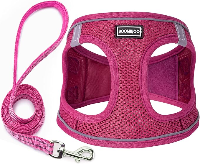 Dog Harness with Leash Set, No Pull Adjustable Reflective Step-in Puppy Pet Vest Harnesses for Small Medium Large Dogs and Cats,Rose Red XXS