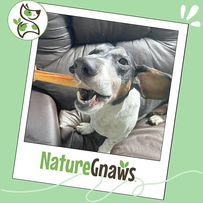 Nature Gnaws Thin Bully Sticks for Dogs 5-6" (8oz) - Mixed Thickness - Long Lasting for Small Dogs and Puppies - Natural Thin Beef Dog Chew Bones - Rawhide Free