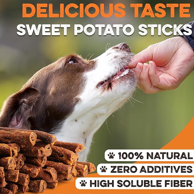 USA Sweet Potato Dog Treats - Grain Free, Cinnamon Pumpkin Crunchy Sticks are Great Tasting, Promote Positive Dog Gut Health with Natural Anti-Diarrhea Properties, no Preservatives Added