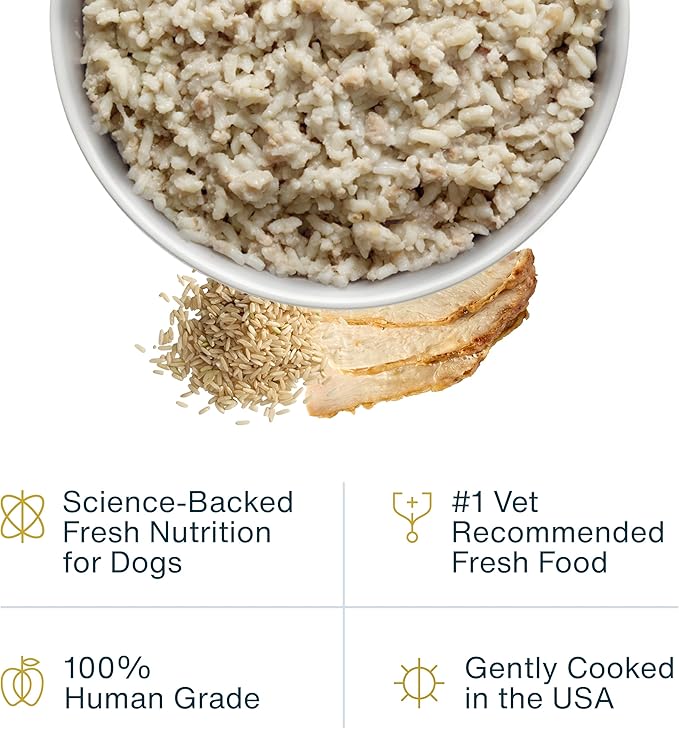 JustFoodForDogs Pantry Fresh Wet Dog Food, Complete Meal or Dog Food Topper, for Sensitive Stomachs, Balanced Remedy Human Grade Dog Food Recipe - 12.5 oz (Pack of 12)