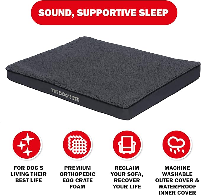 The Dog’s Bed Orthopedic Standard Foam Dog Bed Mattress, Plush Fabric, Grey, Large