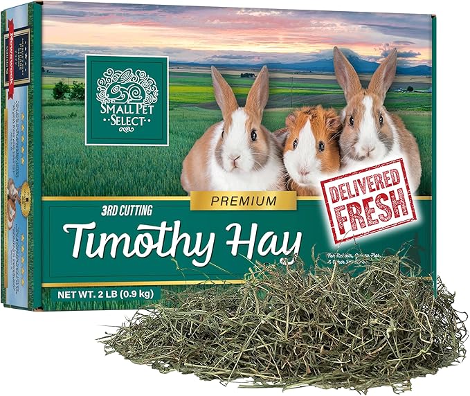 Small Pet Select 3rd Cutting Super Soft Timothy Hay Pet Food for Picky Eaters, Rabbits, Guinea Pigs, and Other Small Animals, Easy to Store Box, 2 LB