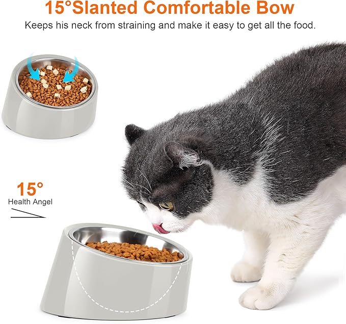 Tilted Dog Bowl Non-Slip & Non-Spill Pet Feeder with Elevated Detachable Melamine Stand, Easy to Get Food Dog Dish, M/180ml Gray
