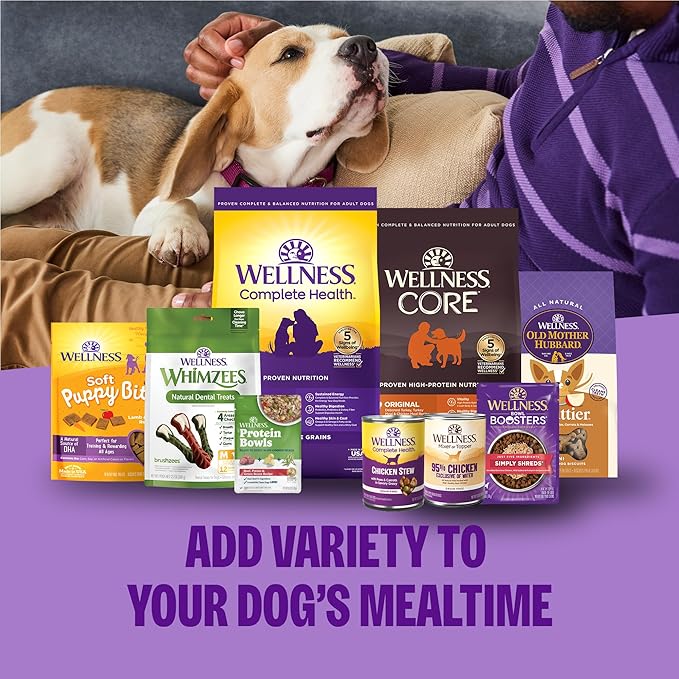 Wellness Complete Health+ Dry Dog Food Chicken & Oatmeal Recipe (4 Pound Bag)