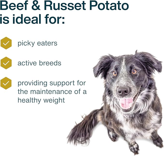 JustFoodForDogs Frozen Fresh Dog Food, Complete Meal or Dog Food Topper, Beef & Russet Potato Human Grade Dog Food Recipe, 18 oz (Pack of 21)