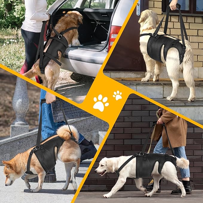 Dog Lift Harness, Dog Sling for Large Medium Dogs' Hind Leg Support Pee-Able. Ideal for Seniors, Disabled, Injured & Arthritic Dogs in ACL Recovery, Secure Harness for Assisted Mobility (Medium)
