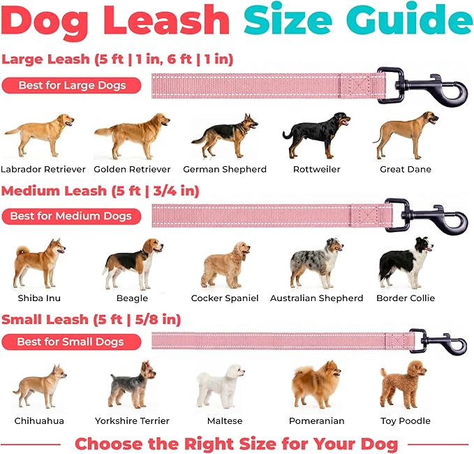 Best Pet Supplies Voyager Reflective Dog Leash or Collar with Neoprene Handle, for Small, Medium, and Large Breed Puppies, Cute and Heavy Duty for Walking, Running and Training - Pink (Leash), L