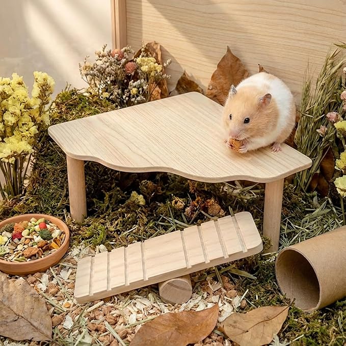 2-in-1 Wooden Hamster Platform & Seesaw Set - Natural Pine Small Animal Climbing Toy & Cage Accessories for Syrian Hamster, Gerbil, Mouse, Rabbit Habitat Enrichment (Bridge/Maze/Wheel/Hide Compatible)