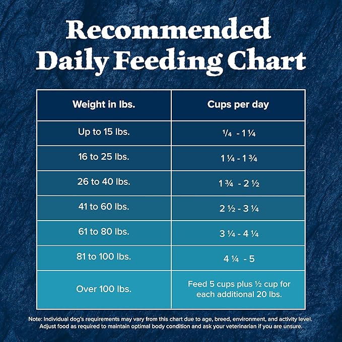 Blue Buffalo Wilderness High-Protein Natural Dry Food for Senior Dogs, Salmon Recipe, 13-lb. Bag