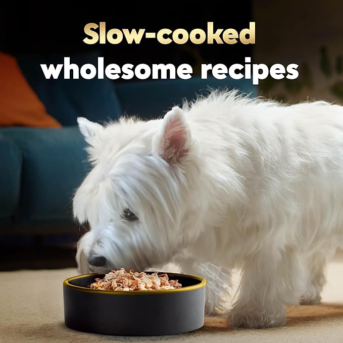 Cesar Wholesome Bowls Adult Wet Dog Food, Beef, Chicken, Purple Potatoes & Carrots, Wet Food for Dogs, 3 Oz. Bowls, 10 Count
