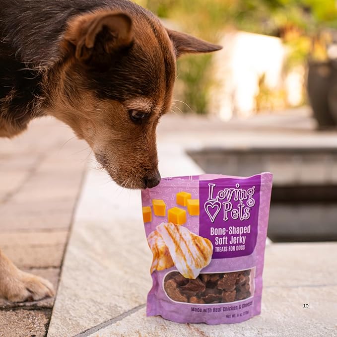 Loving Pets Soft Jerky Dog Treats – Real USA-Sourced Meat Dog Snacks for Training, Puppies & Everyday Reward – Soft, Chewy Dog Treats for Small, Medium & Large Dogs – Wheat & Corn Free