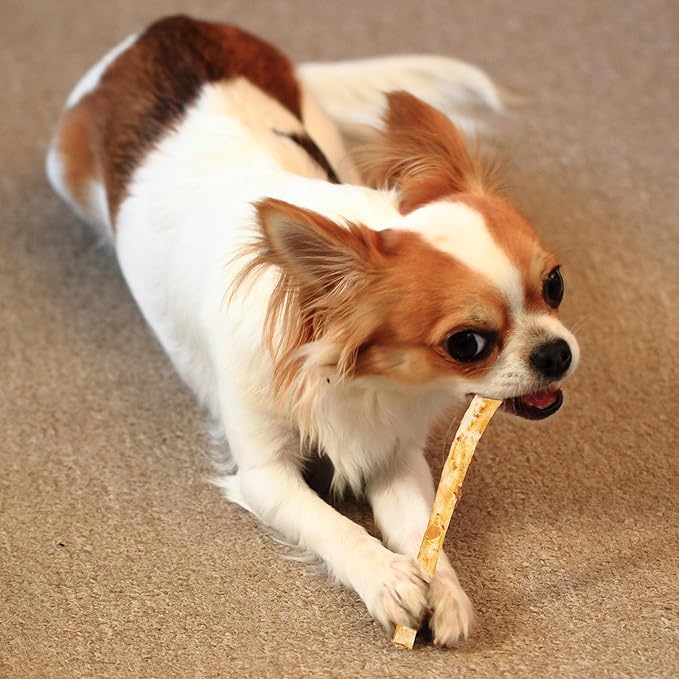 Fieldcrest Farms Nothin' to Hide Twist Stix, Bacon Flavor, Easily Digestible, Supports Skin, Coat, Joints & Muscles, for Moderate Chewers Under 15lbs, 10 Pieces