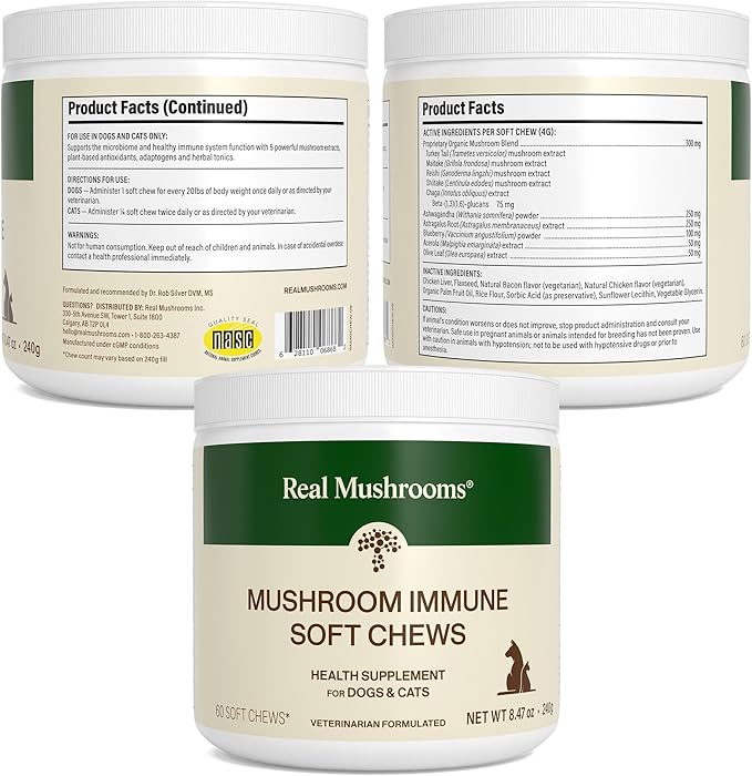Real Mushroom Immune Pet Chews – For Daily Digestive & Immune Health – Mushrooms for Dogs & Cats Functional Treat – Mushroom Supplement for Dogs & Cats – 1 to 4 Chews For All Breeds & Sizes (60 Count)