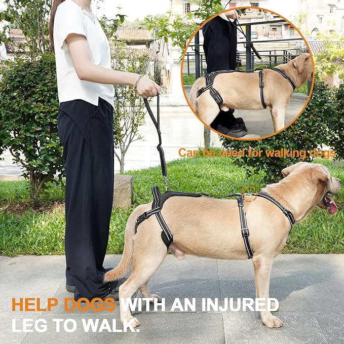COODEO Professional Dog Sling for Hind Leg Support - Aid for Post-ACL/TPLO Surgery & Senior Dogs, Secure,Breathable & Machine-Washable with Reflective Edging for Safe Walks (Black, L)