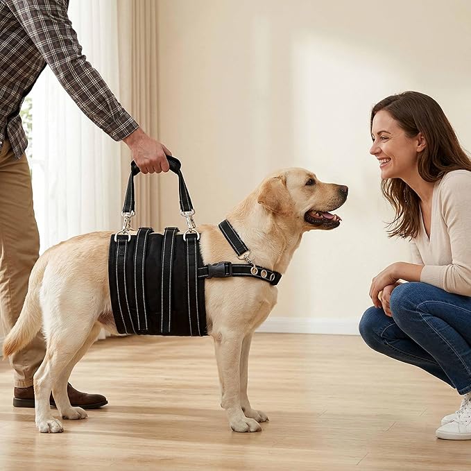 CWV Adjustable Male Dog Lift Harness for Large Dogs, Soft and Portable Dog Dling for Large Dogs Hind Leg Support,Help em up Harness for Senior, Injured, Disabled and After Surgery Dogs, Large