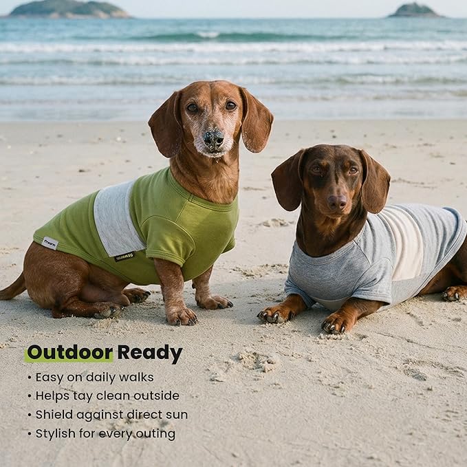 Fitwarm 3 Pack Color Block Striped Dog Shirt, Summer Dog Clothes for Small Dogs, Breathable Lightweight Pet Tshirt with Sleeves, Cat Outfit, Oliver Green, Grey, Black, XXL