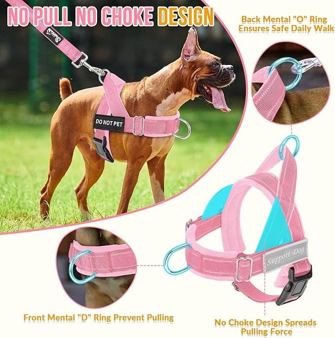 SlowTon No Pull Dog Harness - Heavy Duty Dog Harness and Leash Set for Medium Large Dogs, Reflective Tactical Harness with Soft Padded and Front Clip for Easy Walk and Training (PI, S)