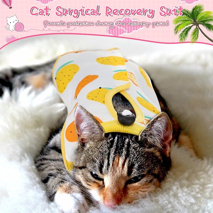Nuanchu 3 Pieces Cat Recovery Suit Kitten Recovery Suit E-Collar Alternative for Cats and Dogs Abdominal Skin Anti Licking Pajama Clothes Sets(Medium,Fruit Style,Colorful)