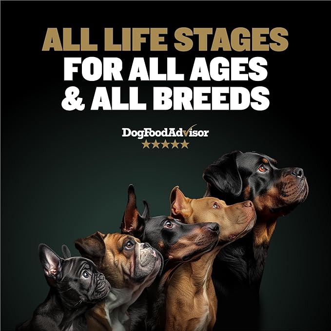 Bully Max Pro 2X High Calorie & High Protein Dry Dog Food for Puppy & Adult Dogs - Healthy Weight Gain & Muscle Building for Small & Large Breeds - Slow-Cooked, 600 Calories/Cup, Chicken Flavor, 16lb.