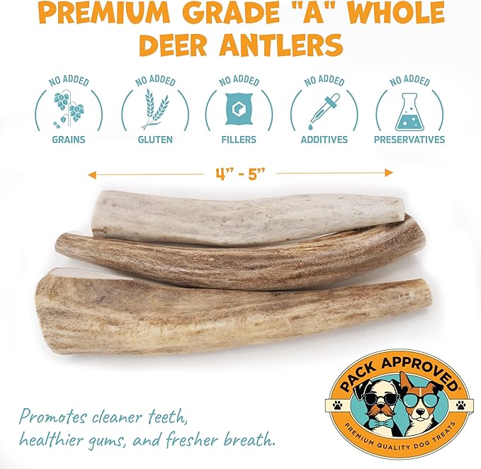 Whole Deer Antlers for Dogs - Long Lasting Chews for Aggressive Chewers - Single Ingredient Odorless Treats for Small & Medium Dogs - 4-5" (3ct)