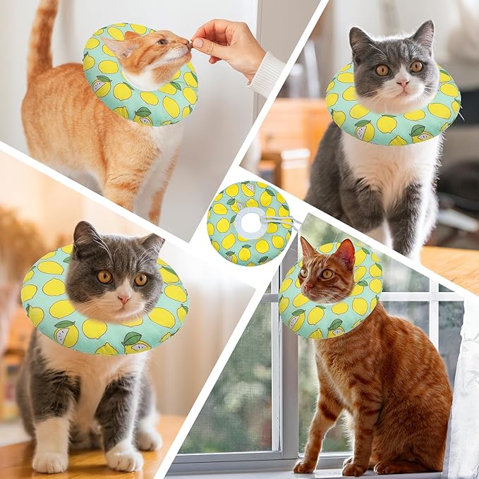 Seyezo Cat Cone Collar Soft, Adjustable Cat Recovery Collars Kitten Cones to Stop Licking, Cute Donut Neck Collar After Surgery, Elizabethan Collar for Cats After Spay (Green Lemon, Small)