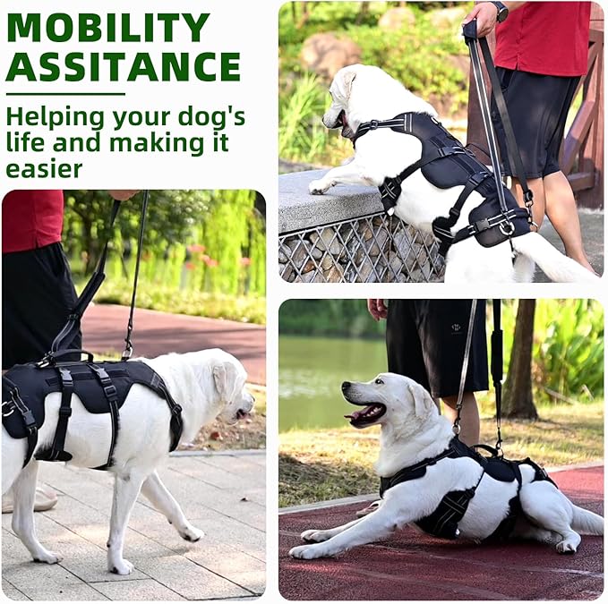 PUPTECK Dog Lift Harness for Medium Large Sized Dog, Rehabilitation Sling for Hind Leg Support, Multifunctional Mobility Assistance Harness for Old, Disabled, Joint Injuries, Paralysis Dogs