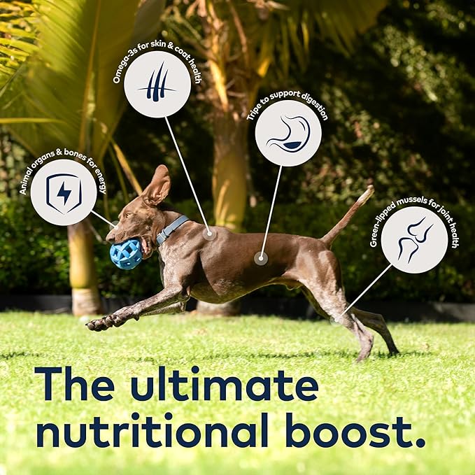 ZIWI Peak Wet Dog Food Variety Pack - Beef, Chicken, Lamb, Mackerel, Tripe, Venison, 6 Pack (6oz Each)