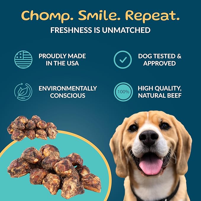 TREATOPIA Adventure Dog Bones, Knee Caps, 32 PC - All-Natural, Dogs Love Them, Long-Lasting, Healthy, Single Ingredient, Hand-Trimmed, Slow-Roasted, Made in The USA, No Additives, No Fillers