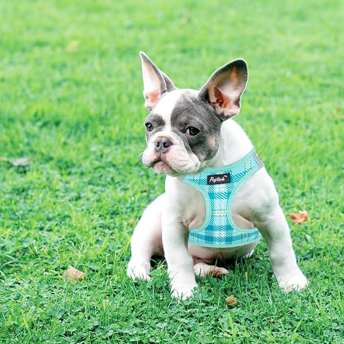 PUPTECK Dog Harness and Leash Set for Small Medium Dogs No Pull Step-in Soft Mesh Puppy Cat Vest Harnesses Reflective at Night, Plaid Pattern Green L
