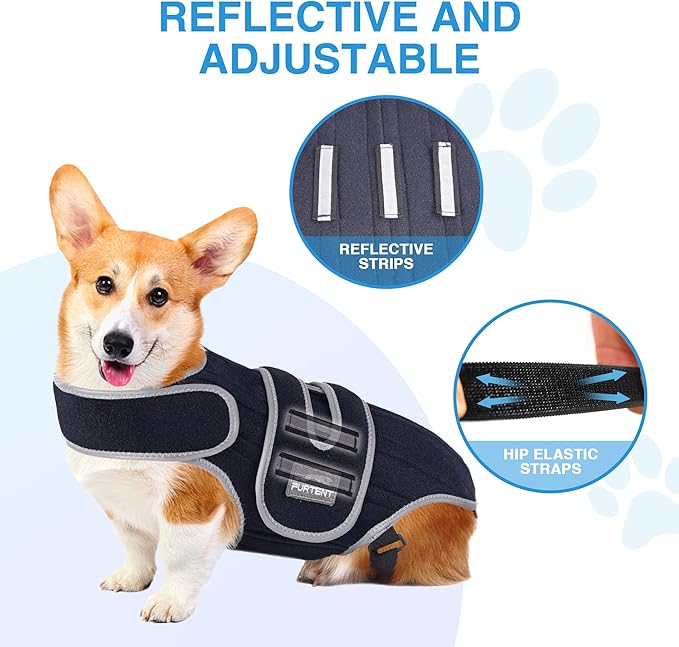 Dog Back Brace for IVDD, Joint Discomfort, Furtent Small Support Harness for Dachshund Recovery, Spinal Relief & Back Stability (S)