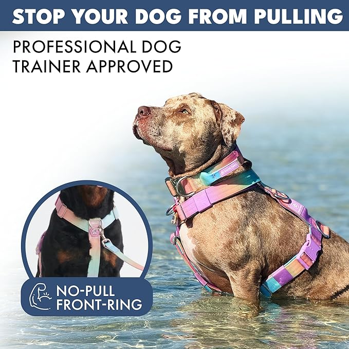 Spark Paws No Pull Dog Harness with Handle for Large Dogs, Heavy Duty Dog Harness for Big Strong Breeds, Adjustable, Y Shaped Padded Halter Design with Front Clip - Pastel Icing - S