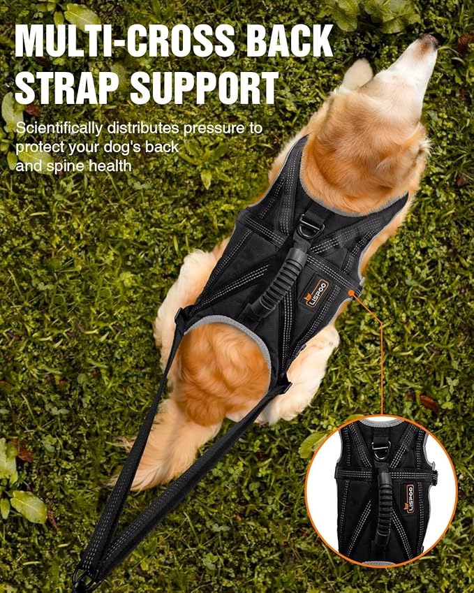 Dog Pulling Harness Set with Waist Belt & Shock-Absorbing Leash, Adjustable Sled Harness for Running, Hiking & Biking, Medium Large Dogs- L Size