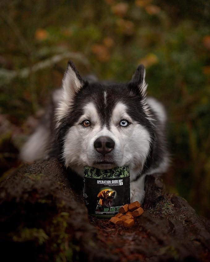 Operation Good Boy Hip & Joint Supplement for Dogs, Glucosamine, Chondroitin & MSM Chews – 90 Soft Treats, Natural Ingredients, Veteran Owned, Beef Flavored