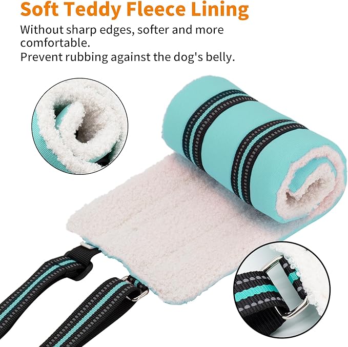 AIITLE Dog Slings for Small Dogs - Adjustable Hind Leg & Hip Support Harness, Plush Rehab Lift Aid with Reflective Straps, Assist Elderly/Injured/Post-Surgery Dogs with Mobility Issues (Turquoise, S)