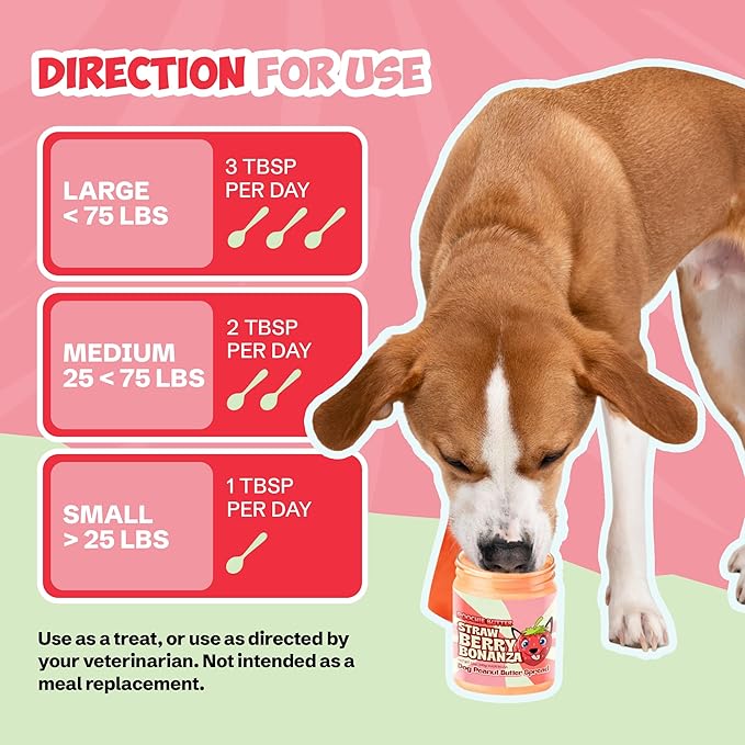 Dilly's Strawberry Dog Treats | Chunky Dog Peanut Butter with Strawberry, Natural Dog Snack (12oz Jar)