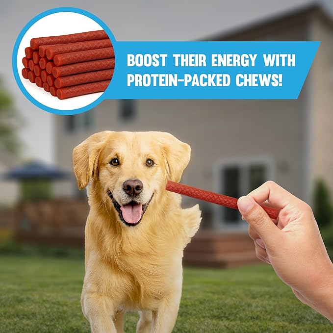 JOR Dog Treat, Beef Chews with Glycerin and Red Yeast Rice, Soft and Chewy Texture, Fresh Meaty Flavor with Sodium Lactate, Tasty Training Treats and High-Protein Pet Rewards, 6 oz per Pack 