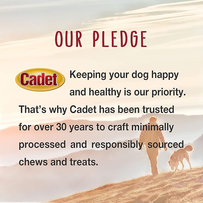 Cadet Gourmet Crunch'ems Homestyle Dog Treats, Natural Dog Chews with Real Chicken and Lotus Root, Chicken 'N Veggie Flavor, 10 Count (Pack of 4)