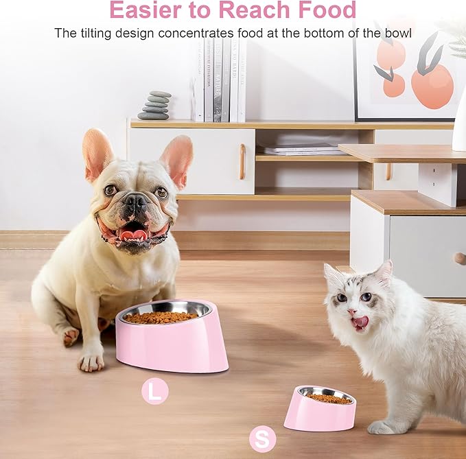 Tilted Dog Bowl Non-Slip & Non-Spill Pet Feeder with Elevated Detachable Melamine Stand, Easy to Get Food Dog Dish, S/100ml Pink