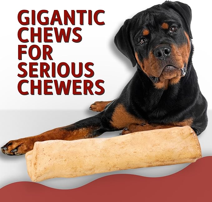 Canine Chews 10-11" Beef-Basted MEGA Retriever Rolls (10 Pack) Natural Rawhide for Big Dogs - Long-Lasting Dog Chew Treats for Aggressive Chewers - Odor-Free - Extra-Large